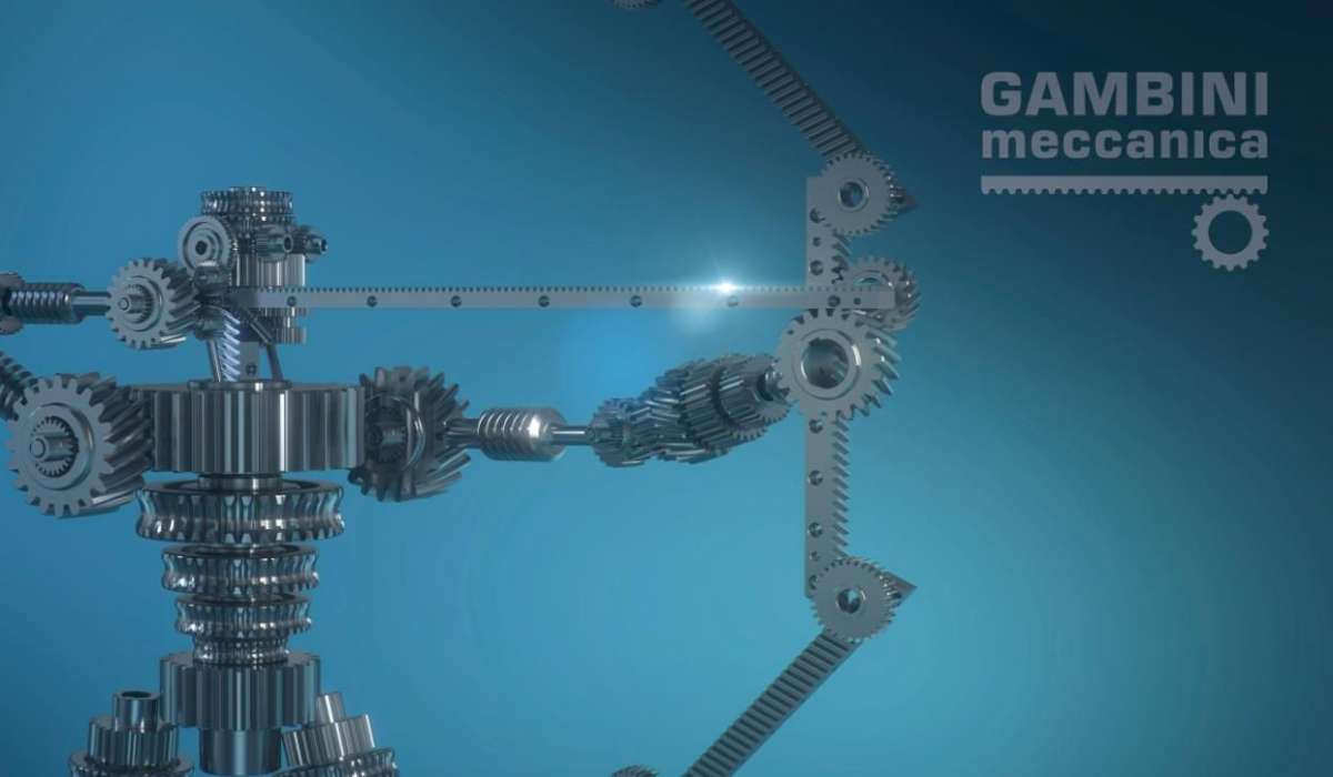 意大利Gambini进口齿轮齿条